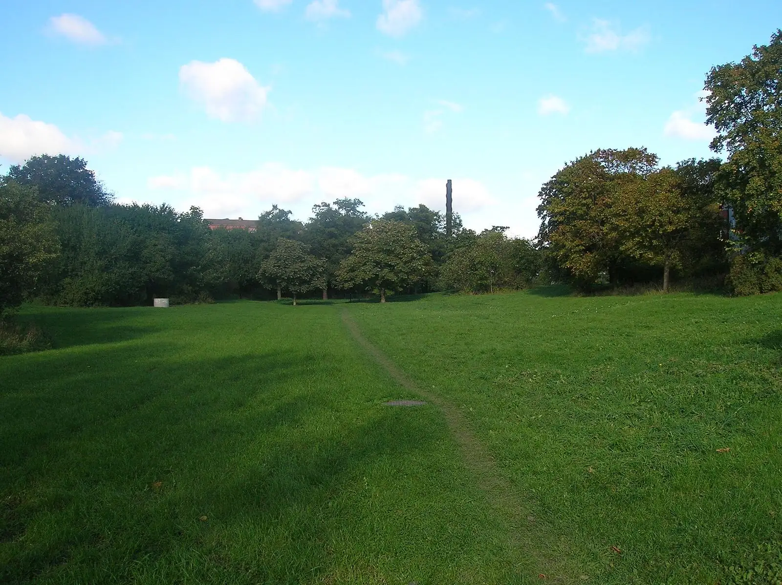 Gräsyta i Storängsparken
