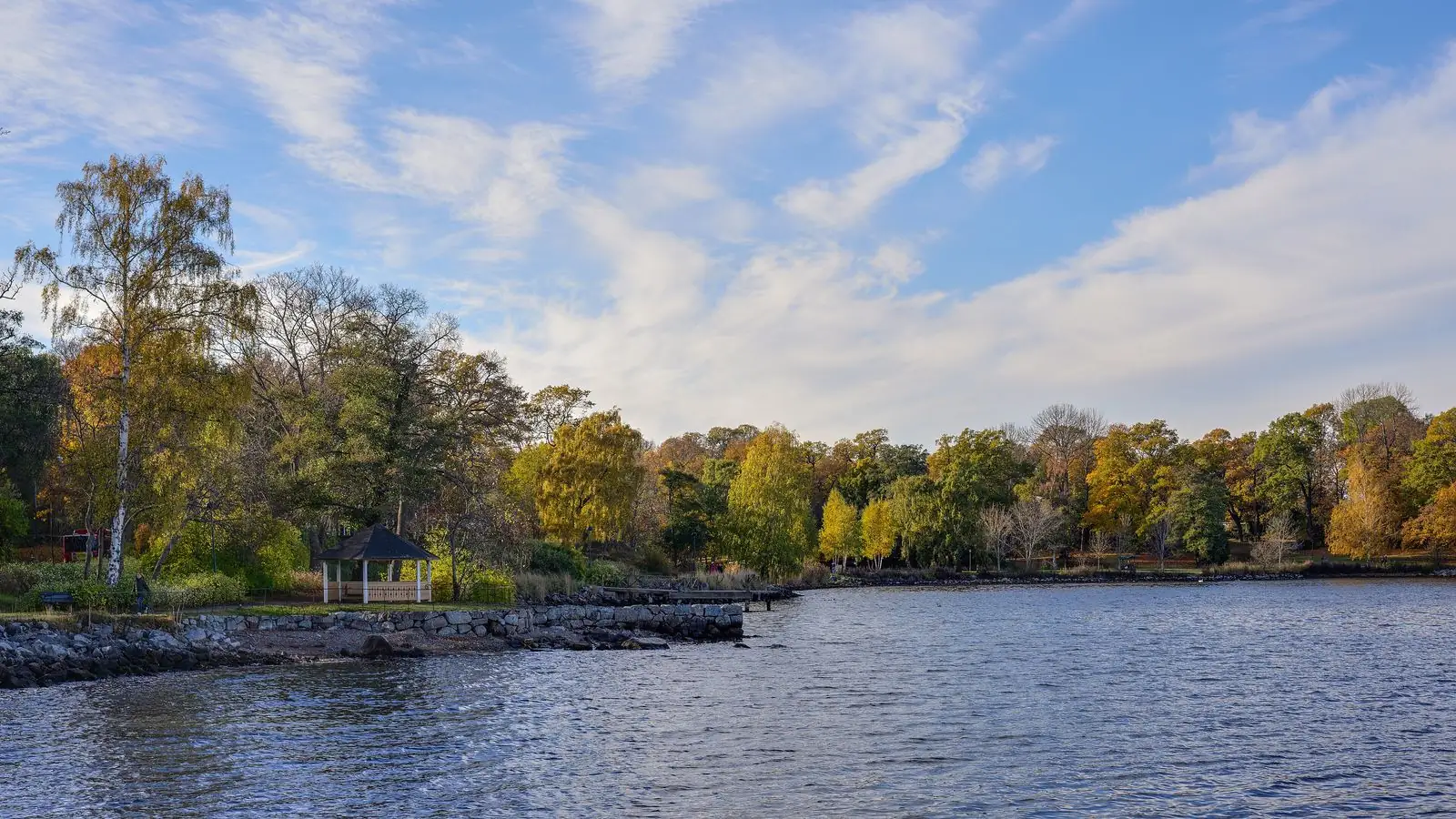 Vatten och höstträd på Djurgården