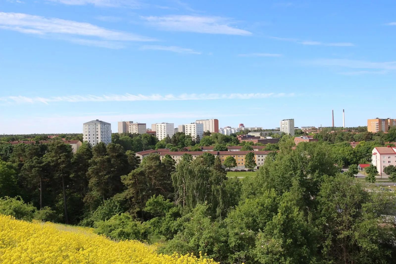 Grönska och hus i Hässelby gård