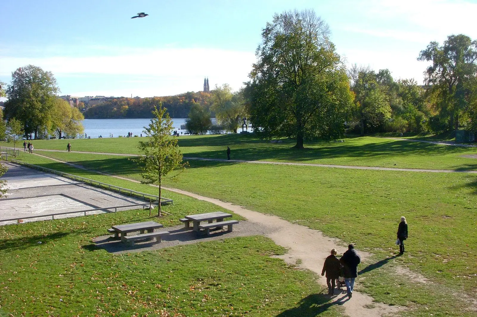 Gräsmattor och träd i Rålambshovsparken