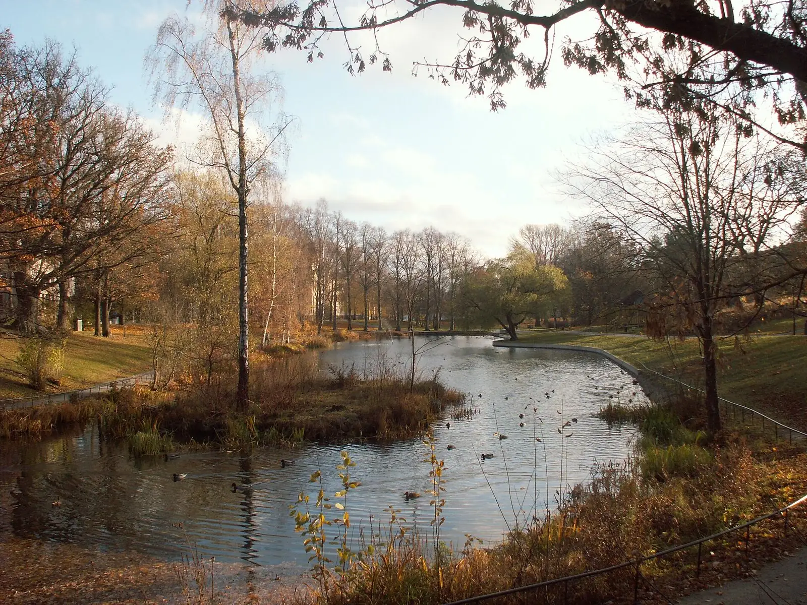 Långbro park på hösten