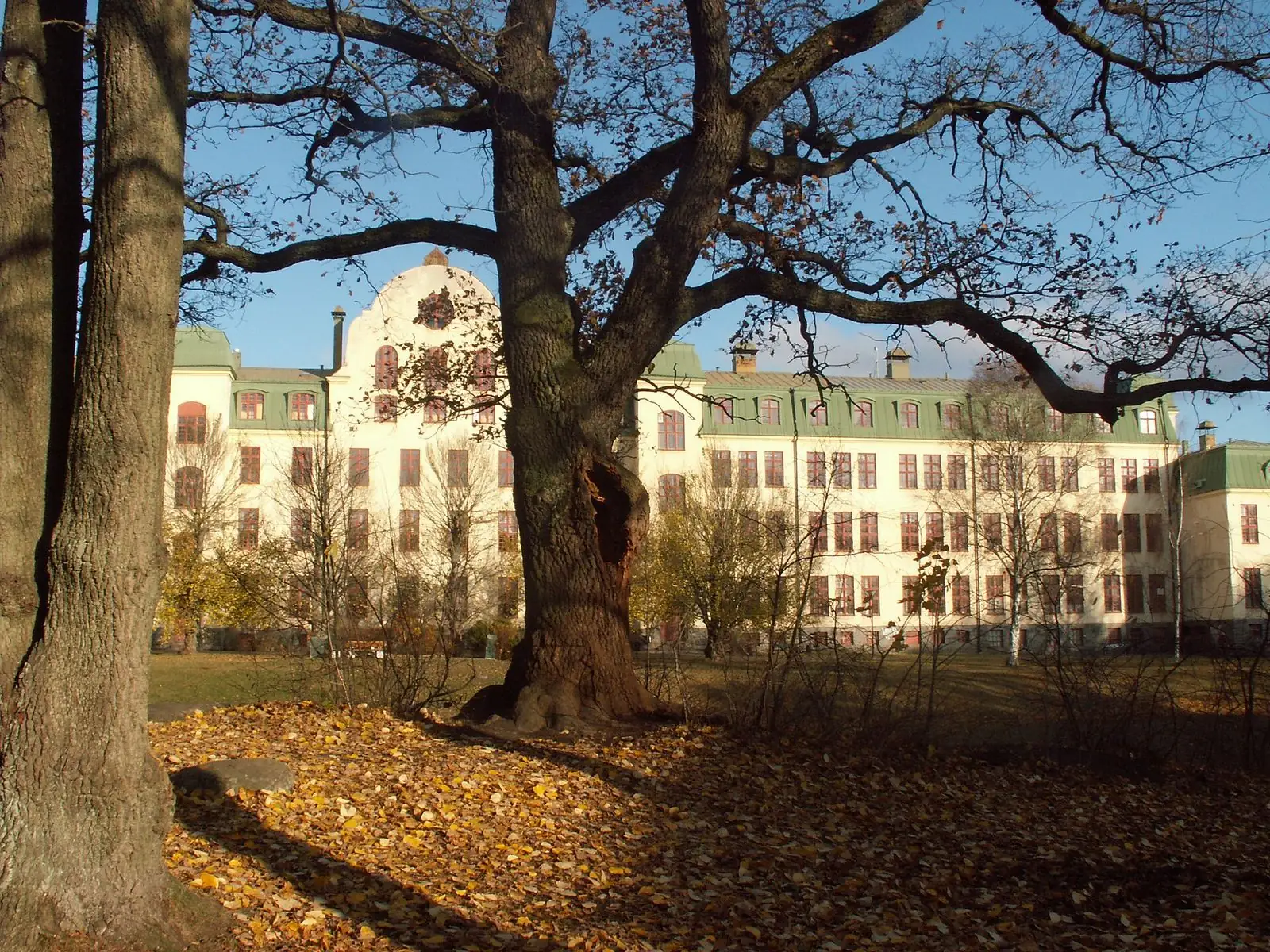 Stor gammal byggnad i Långbro
