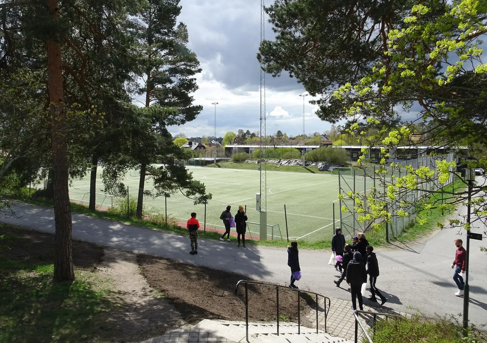 Lisebergs bollplan med träd