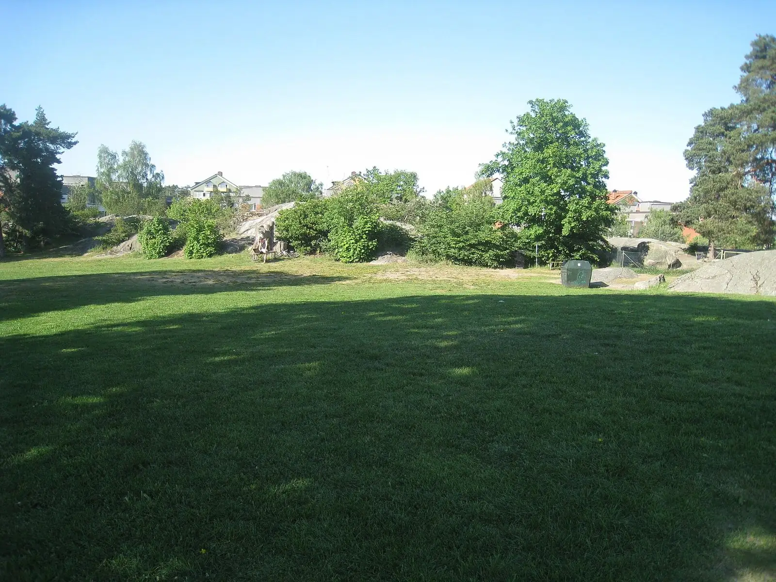 Gräsmattor i Tornparken
