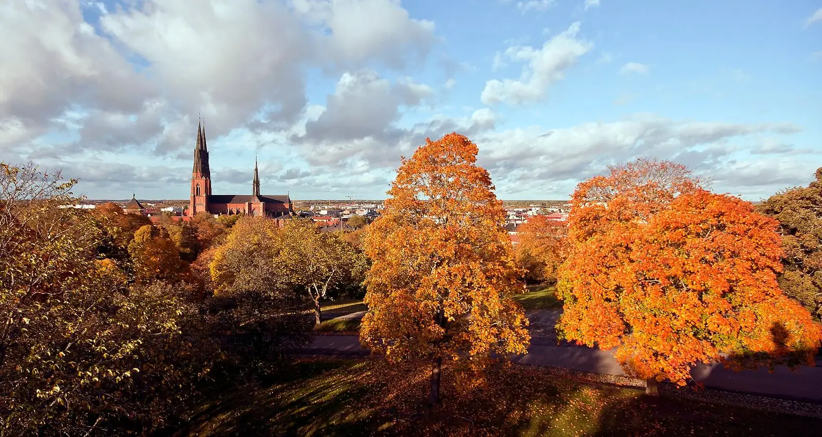 Domkyrkans torn över höstfärgade träd