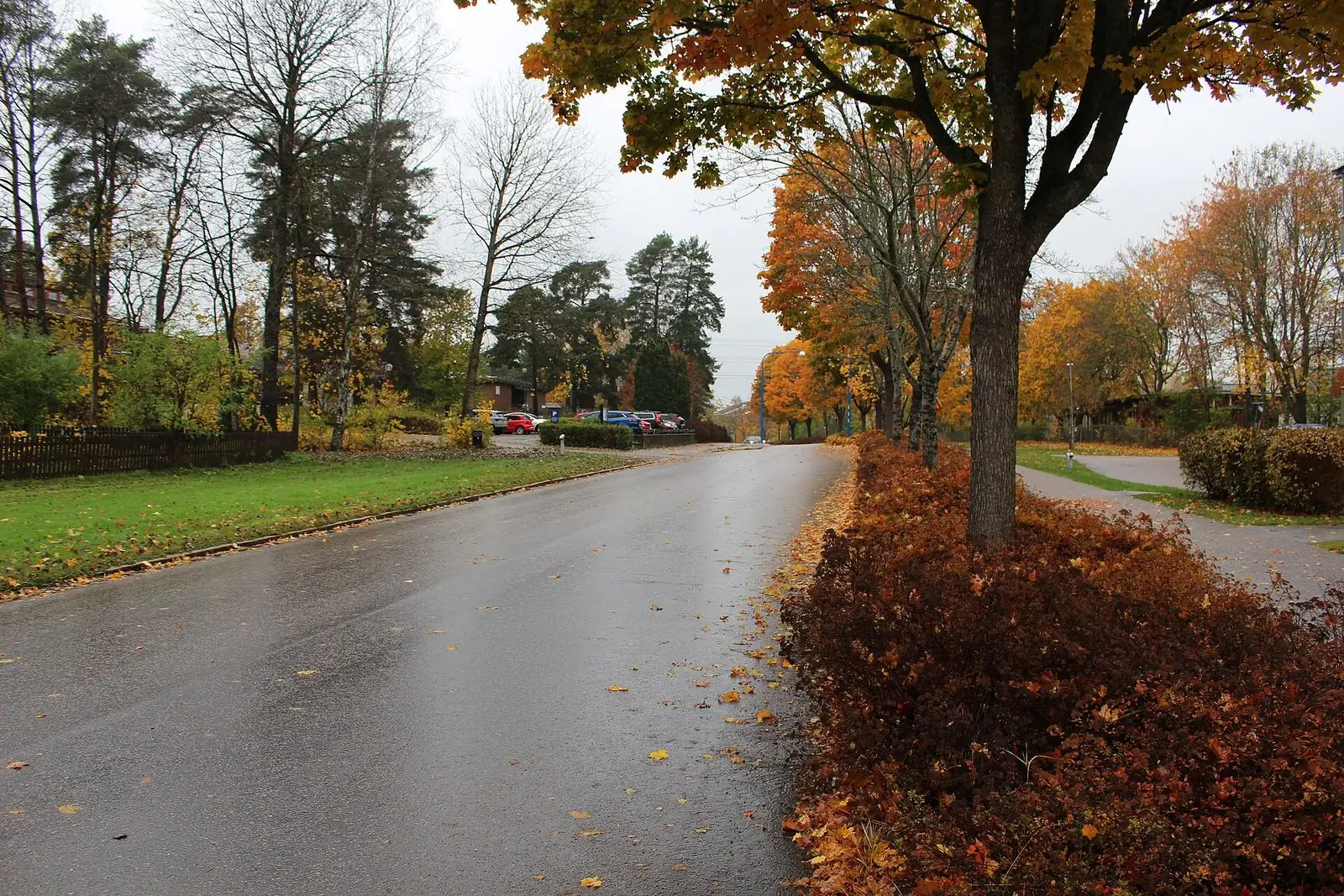 Bostadsgata i Enköping med höstfärgade träd