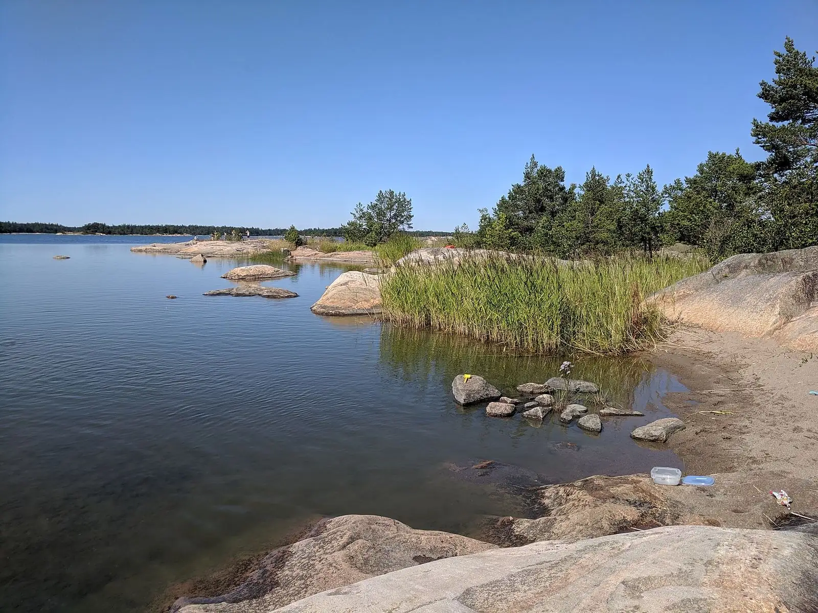 Klippor och vass vid vattnet på Gräsös östra sida