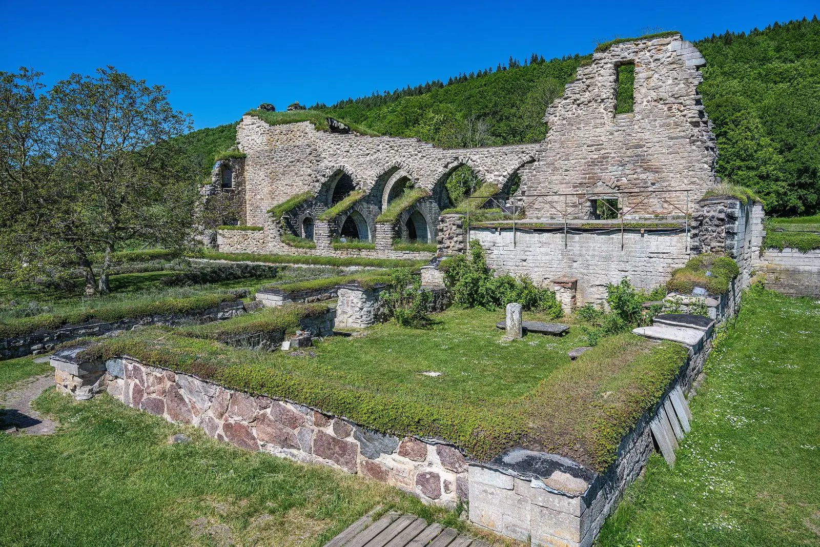 Ruinerna av Alvastra kloster en sommardag