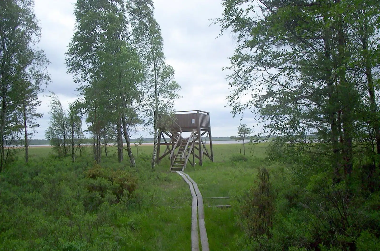 Utsikt över Store Mosse nationalpark