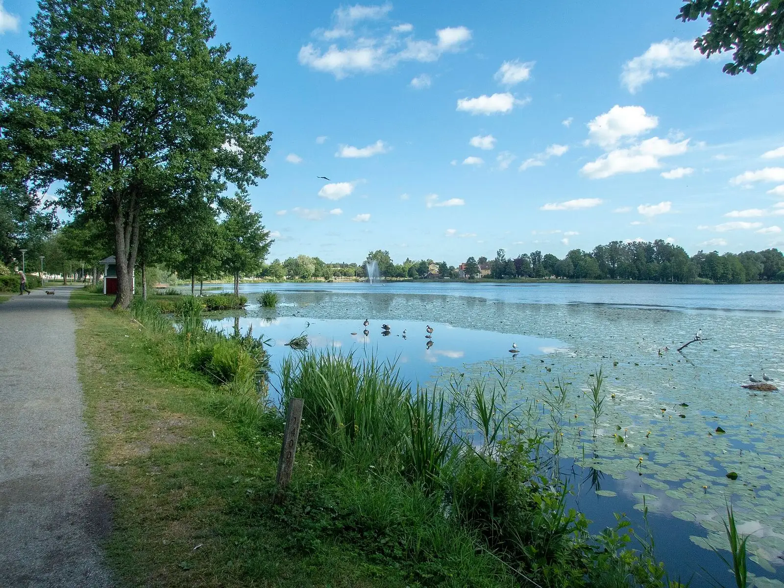 Sjö i Nässjö en sommardag