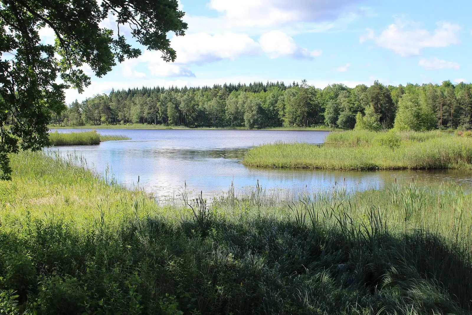 Sjö vid Markaryd