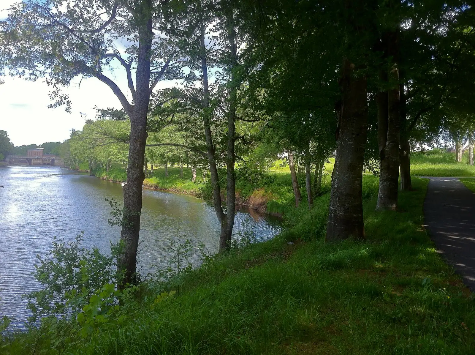 Lagan genom Ljungby