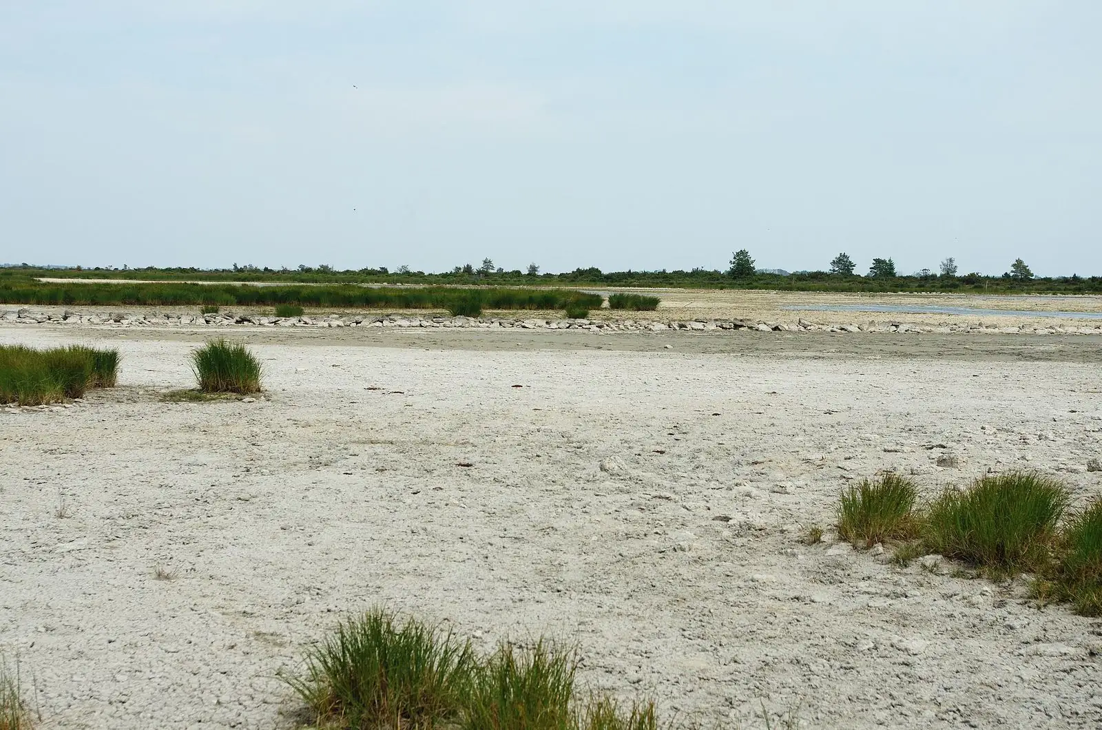 Stora alvaret på södra Öland