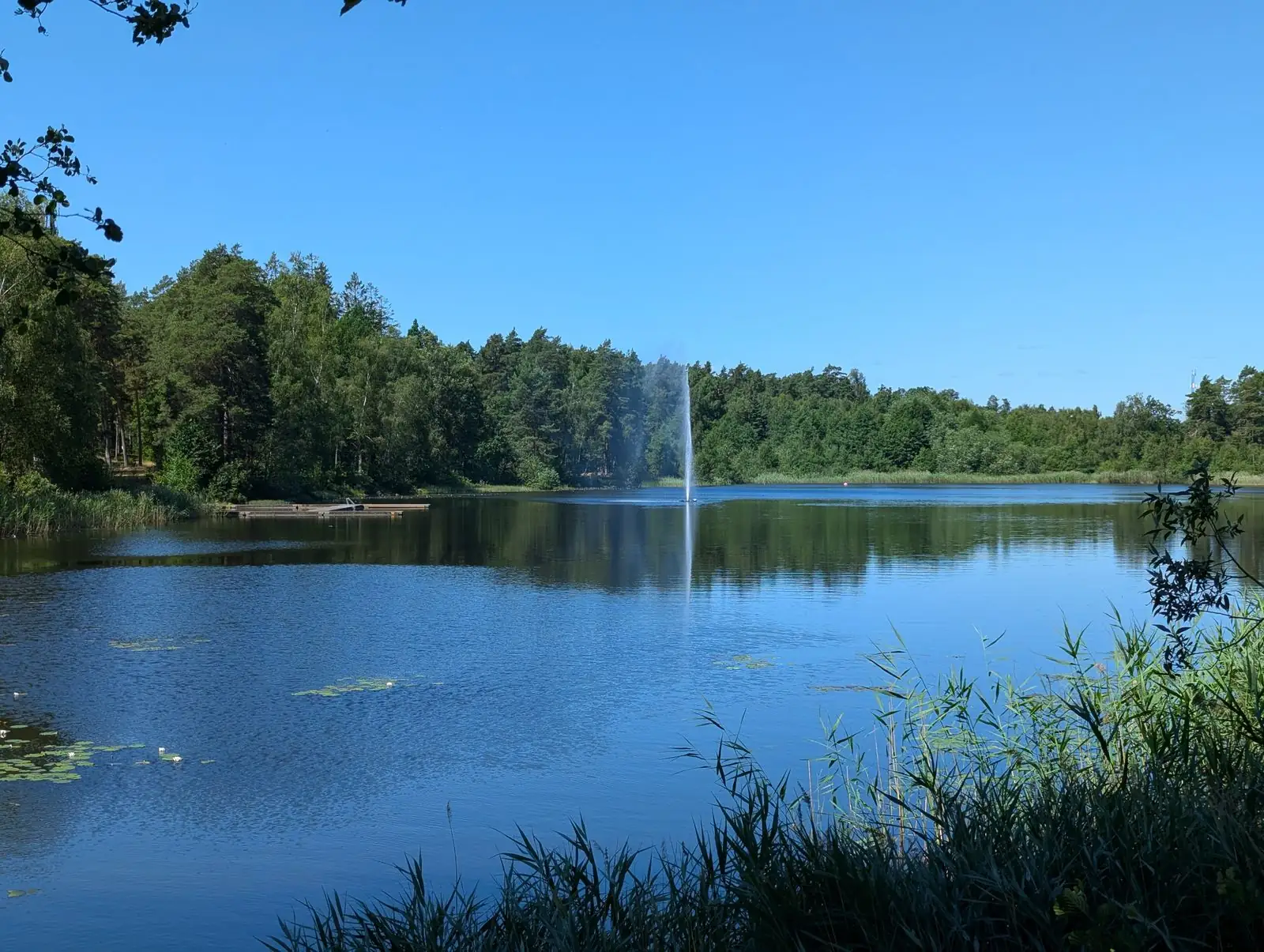 Linneasjön i Nybro med fontän