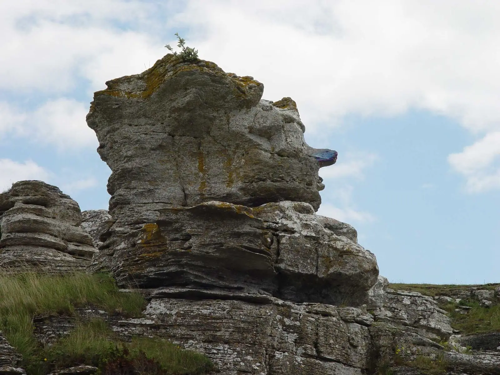 Hoburgsgubben, en rauk på södra Gotland