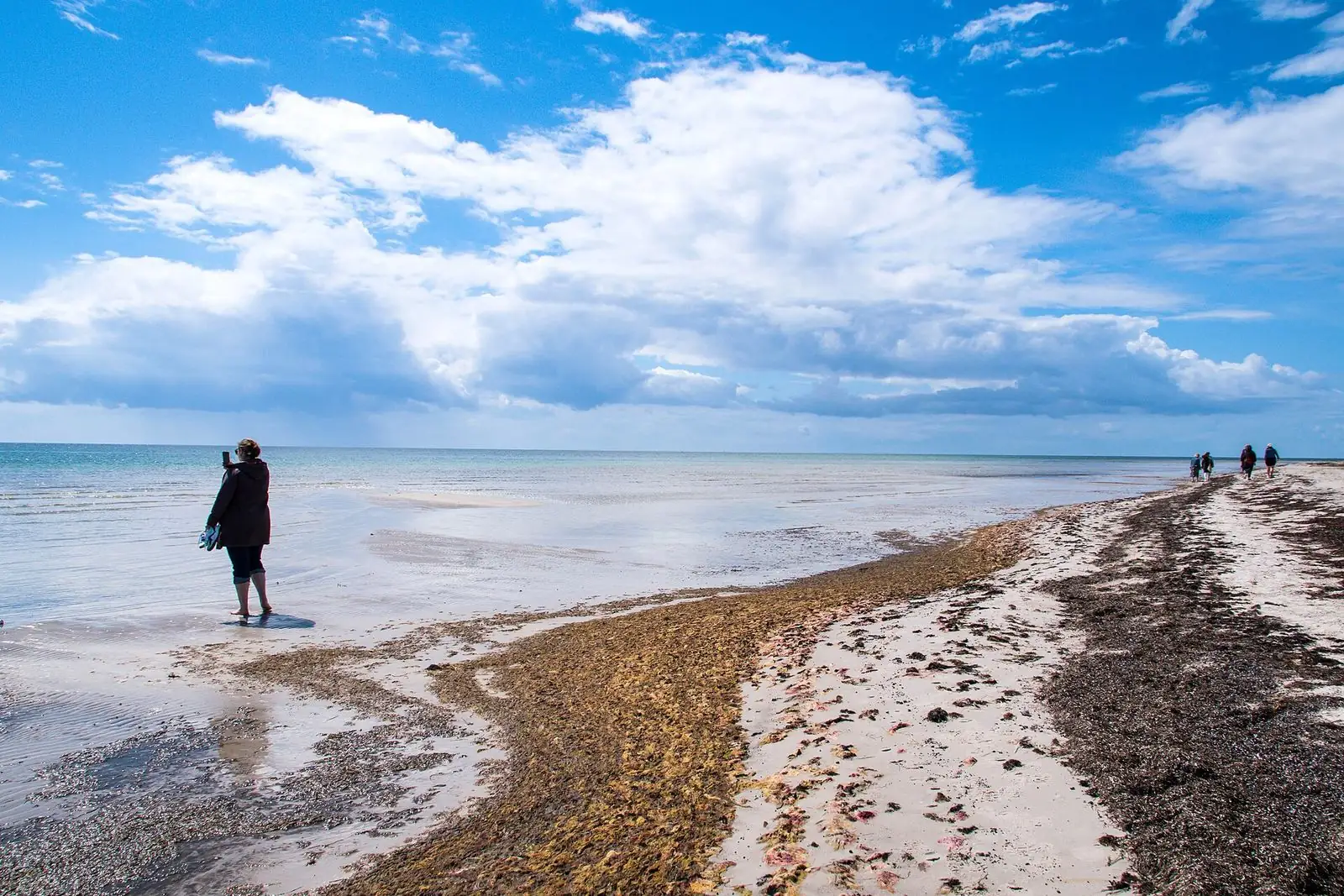 Strand vid Skanör