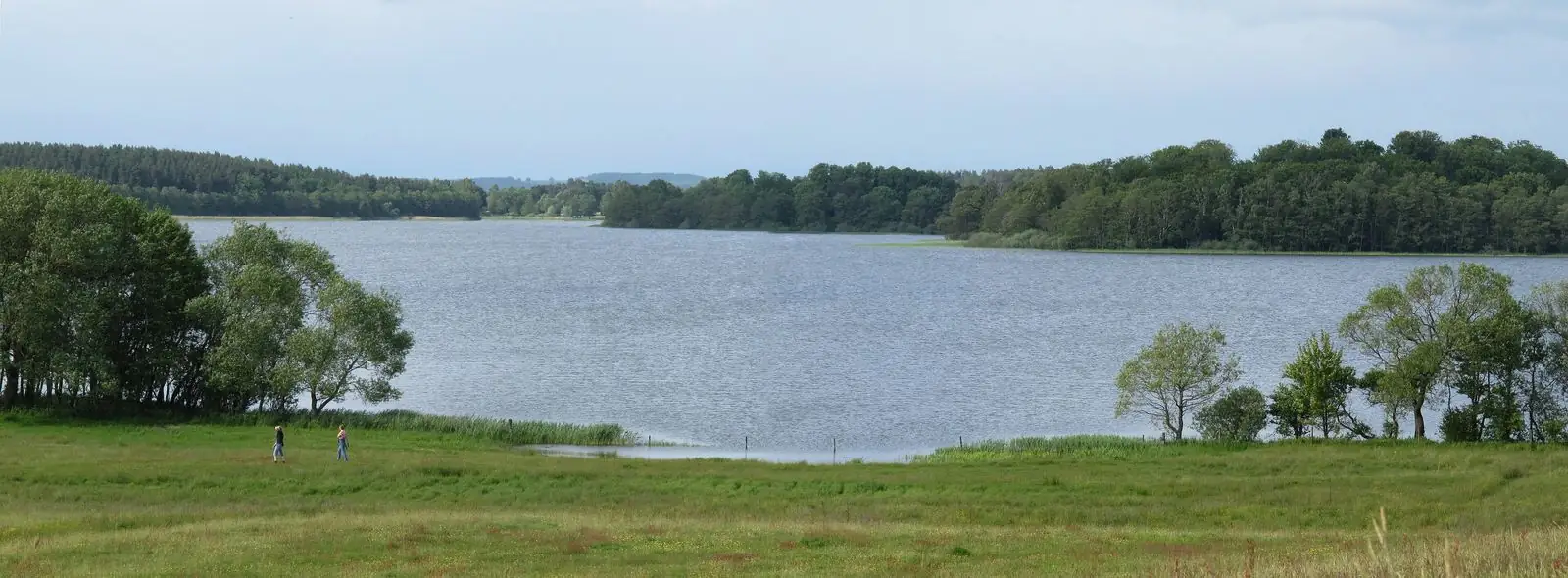 Sjö och betesmark i Sjöbo