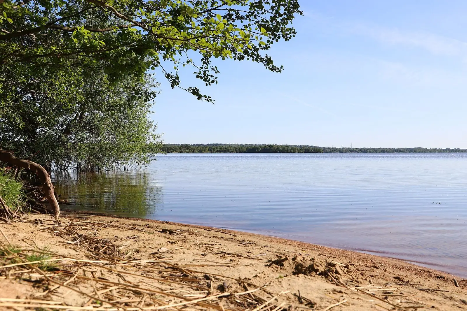 Ringsjön vid Höör