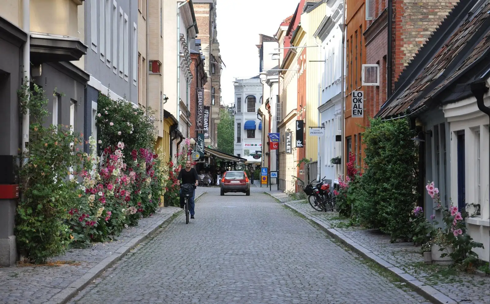Smal gata med blommor och gamla hus i Gamla staden