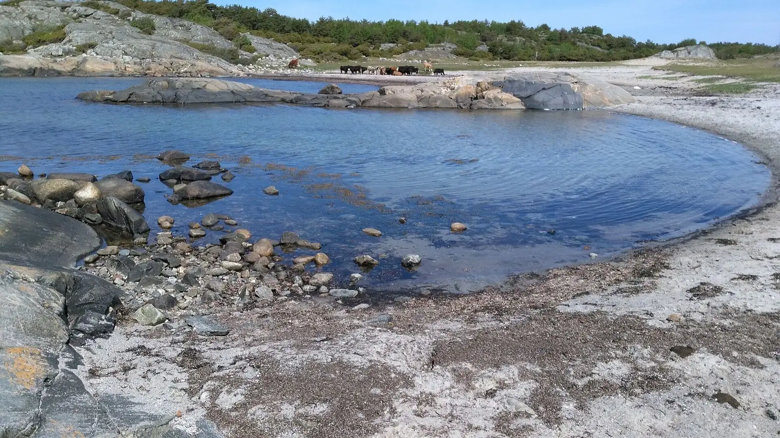 Klipporna vid havet i Kungsbacka