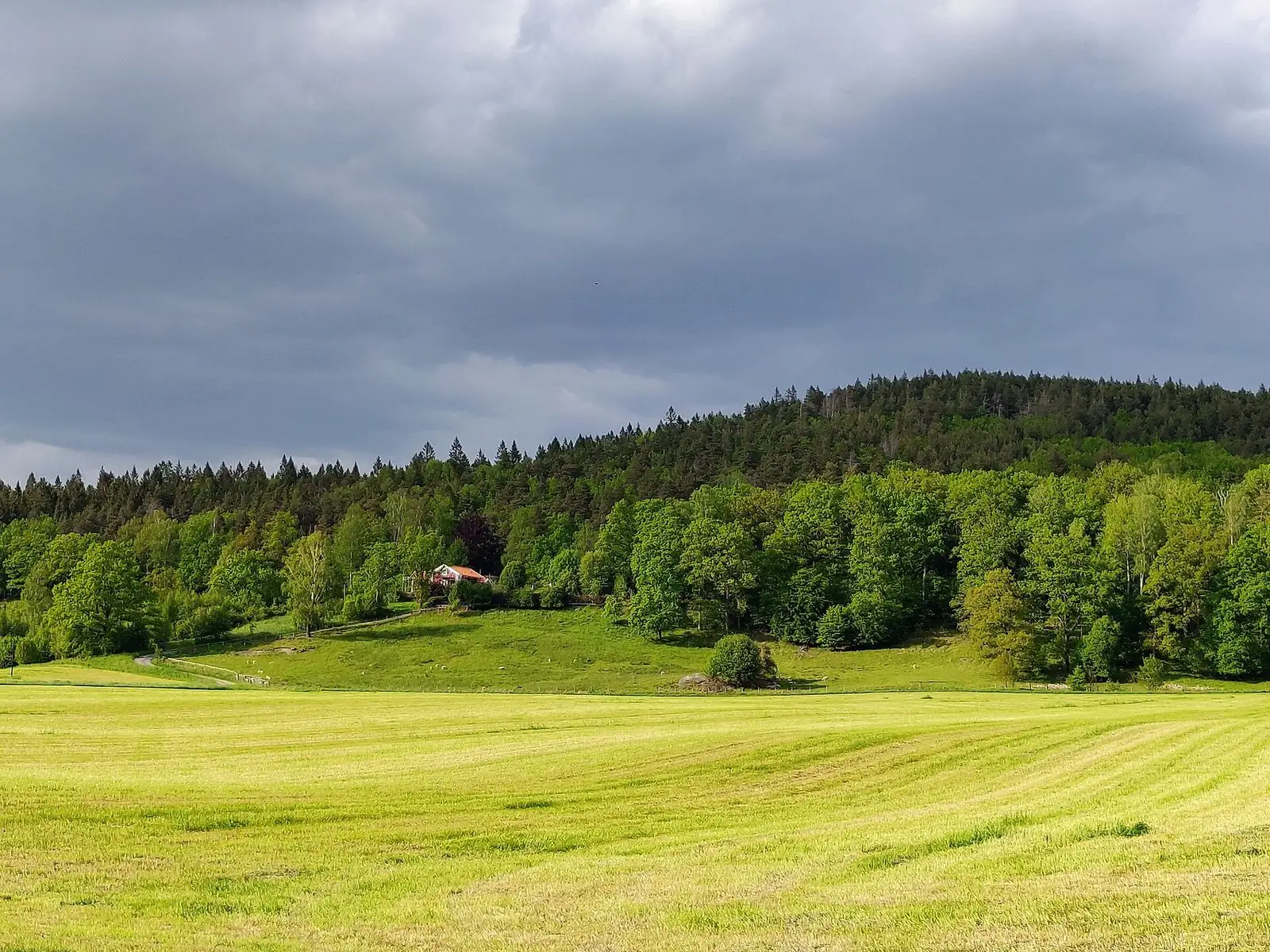 Ängar och skog i Partille