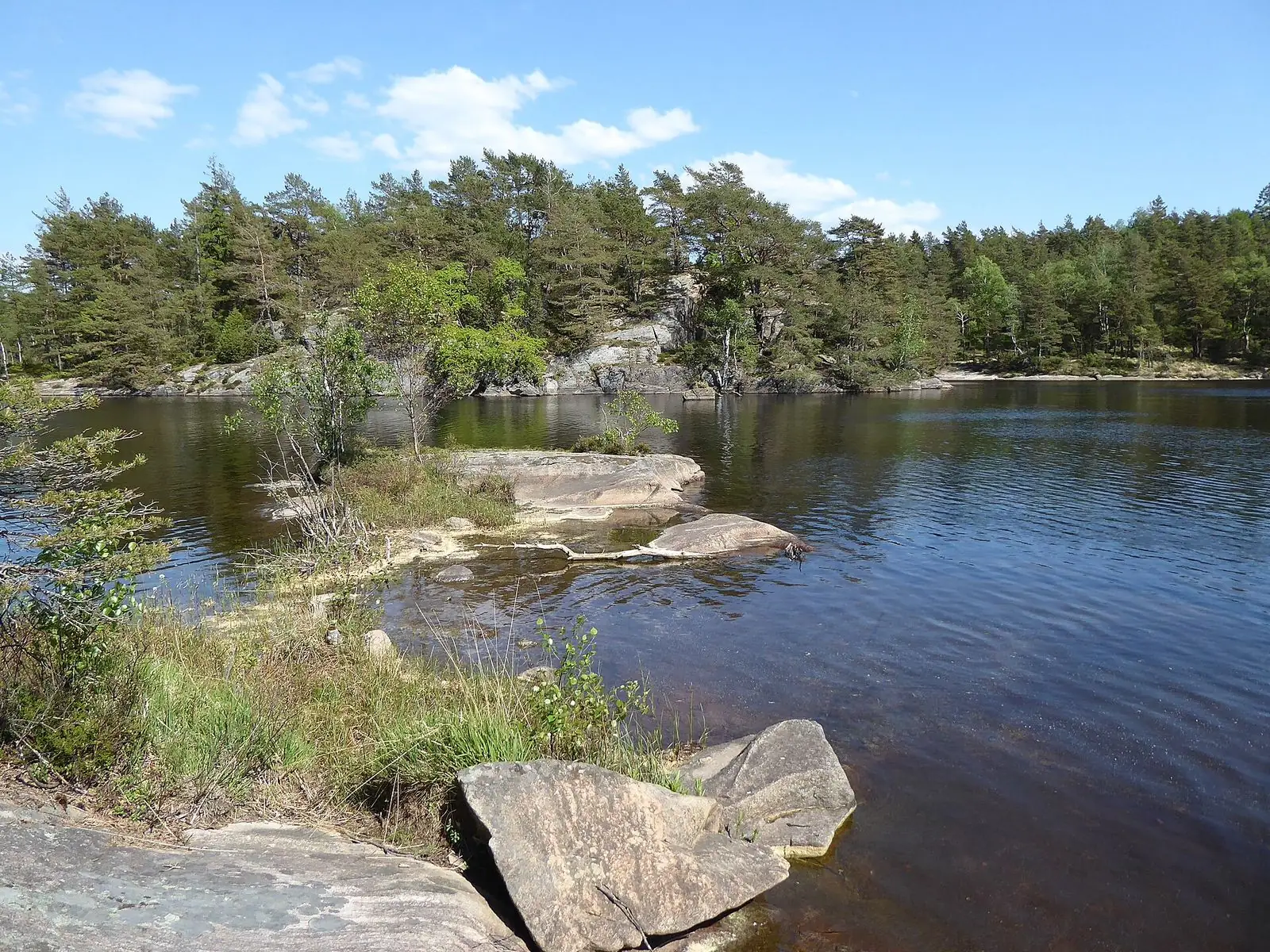 Sjö i Risveden