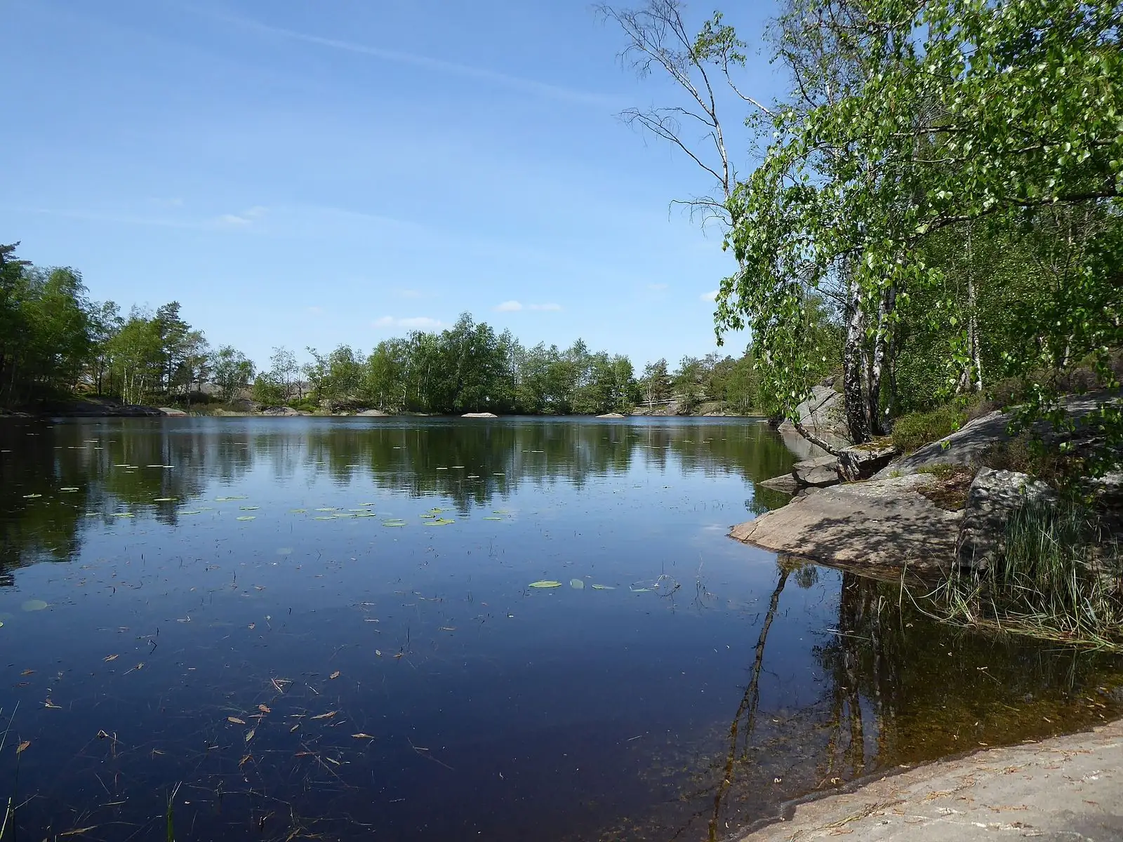 Skogssjö i Ale