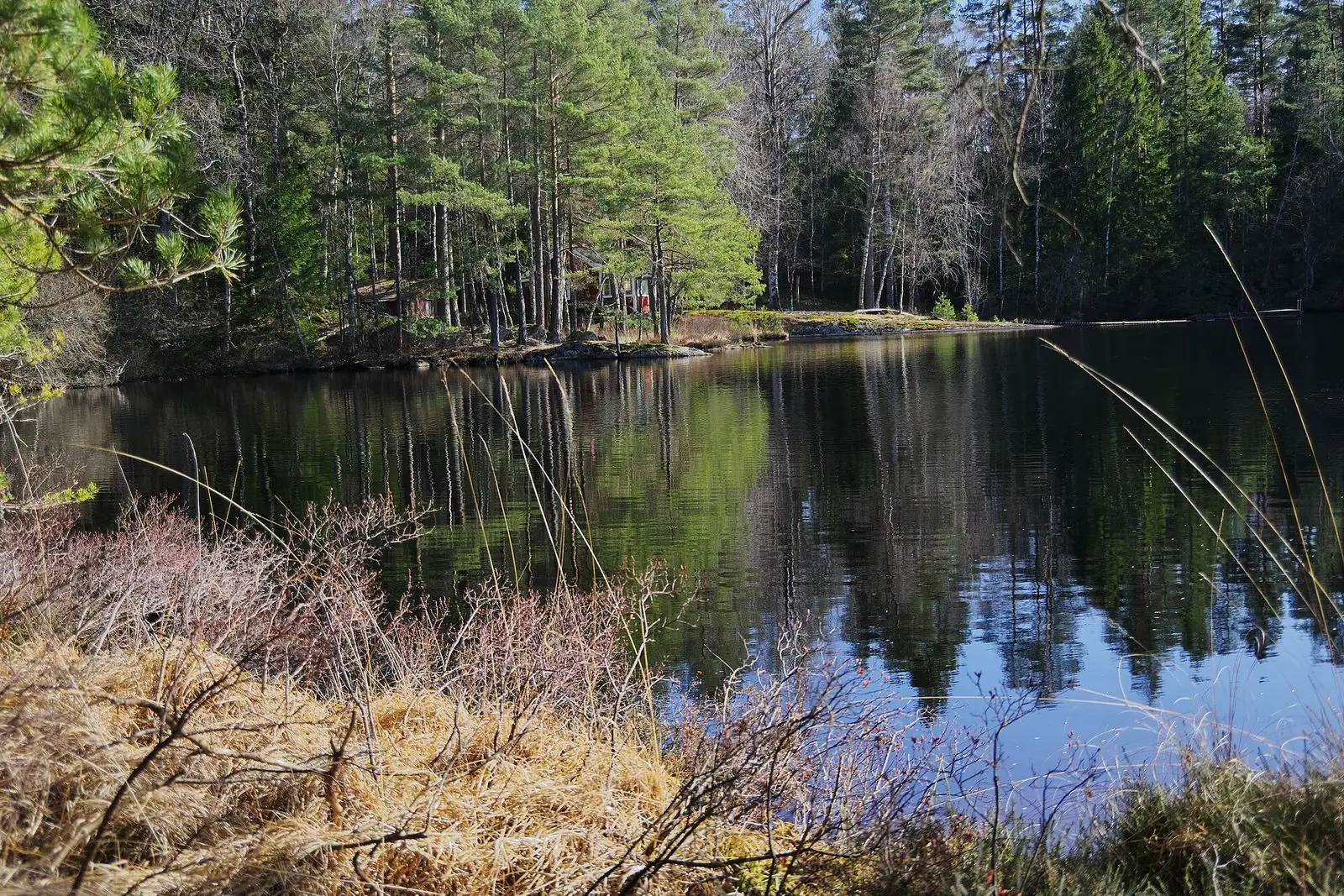 Skogssjö i Vårgårda