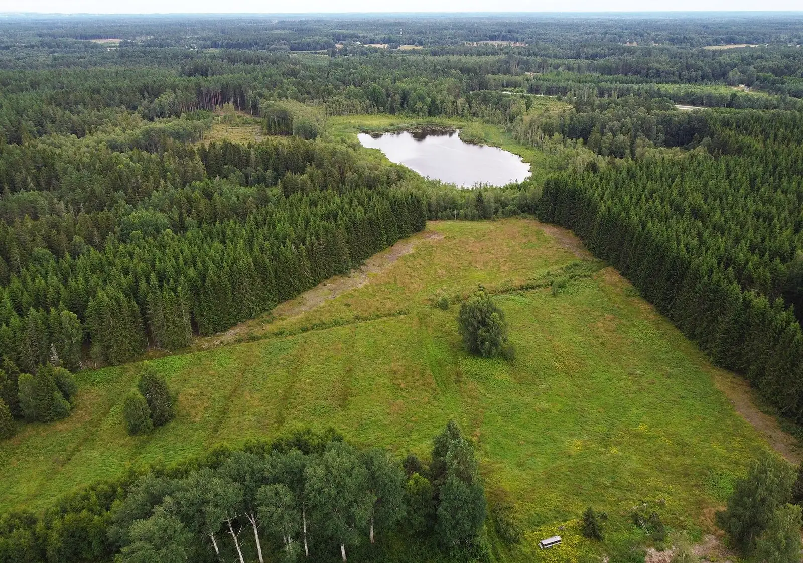 Sjö i Kedumbergens skog