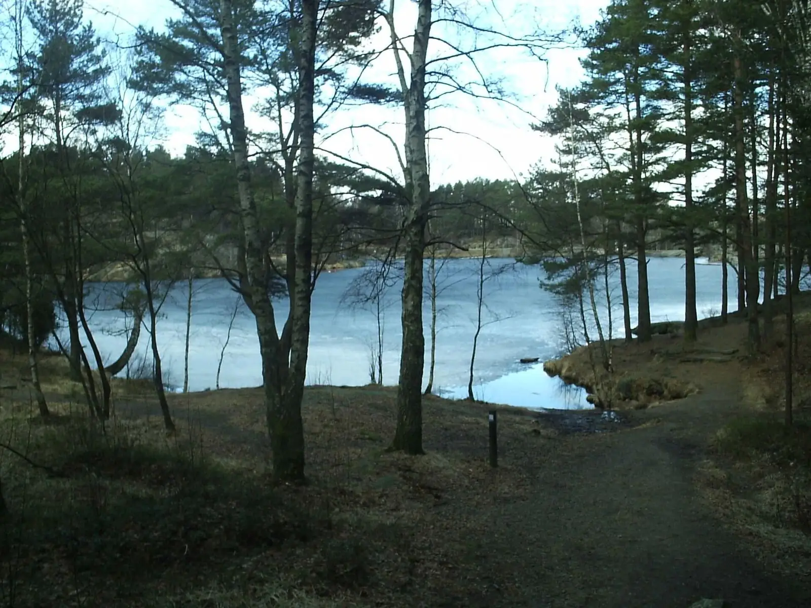 Sjön Bergsjön omgiven av skog