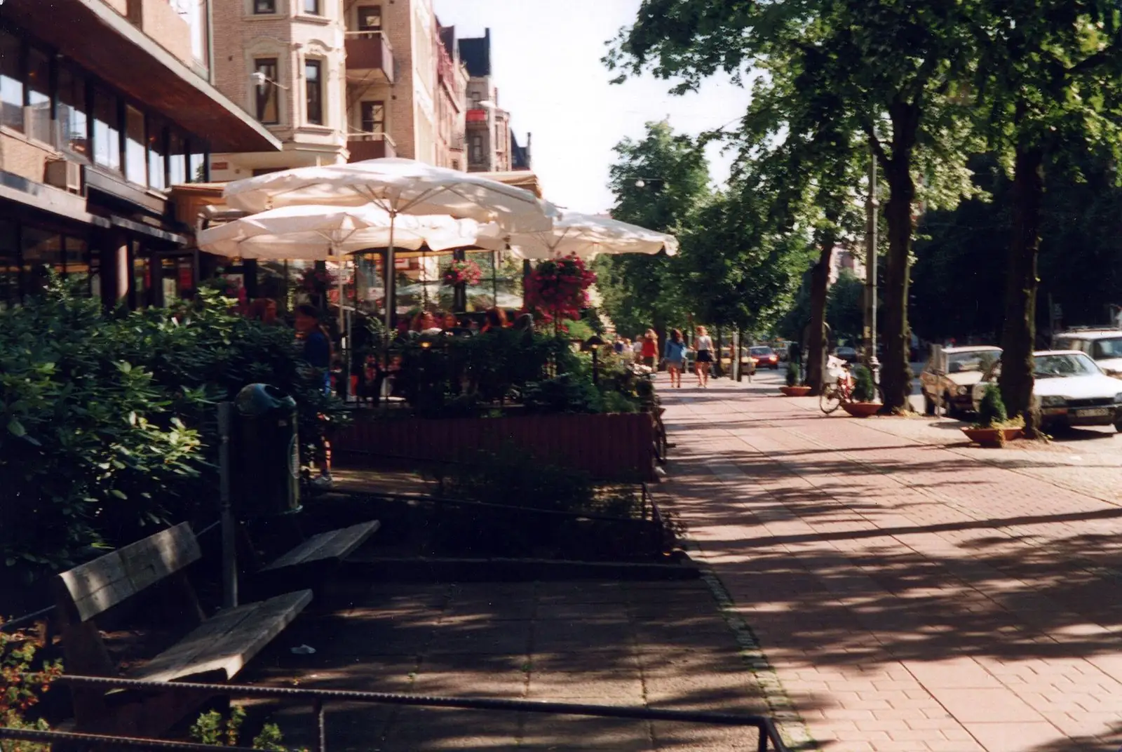 Uteserveringar under träden på Linnégatan