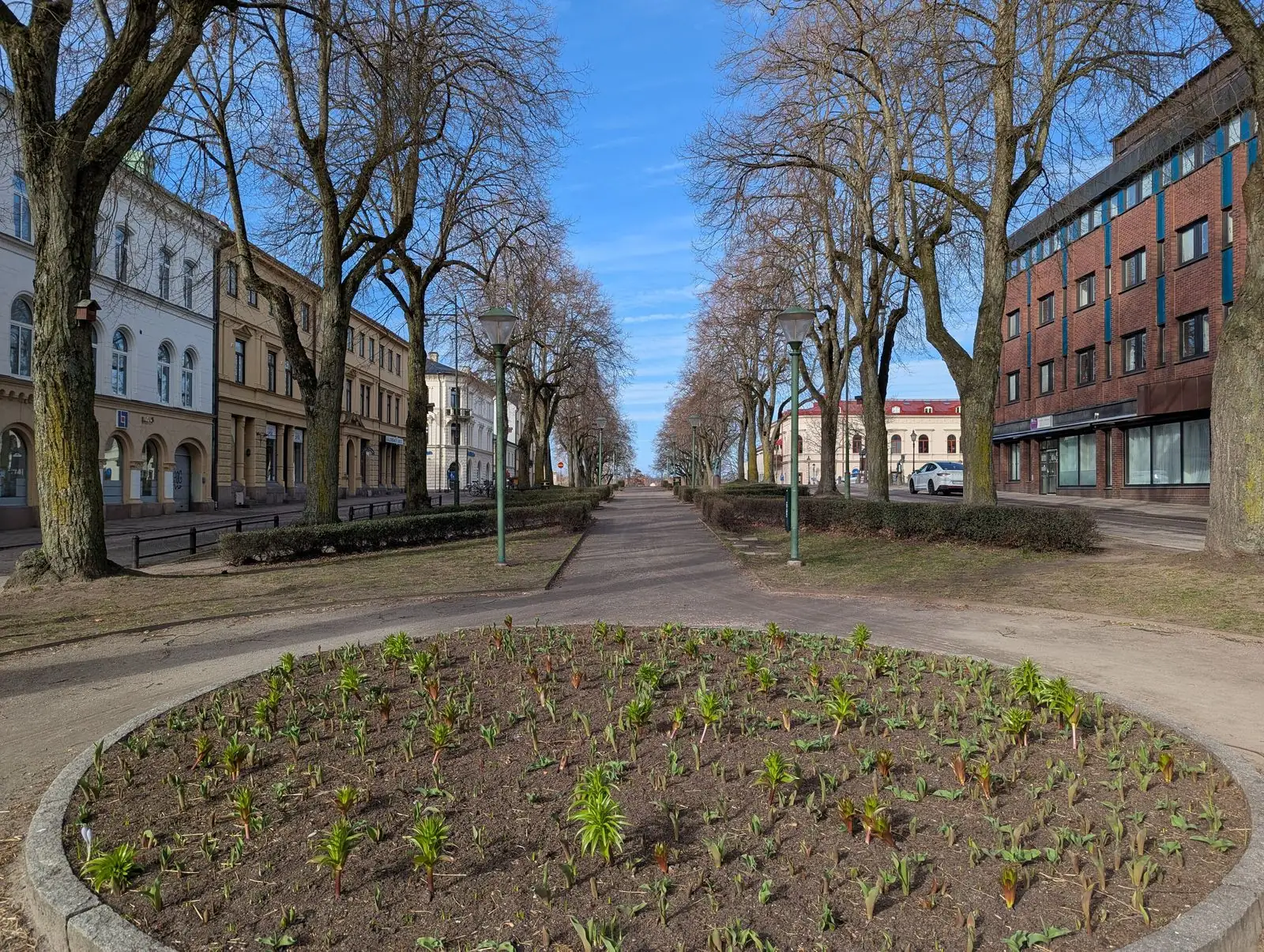 Allé i Mariestad