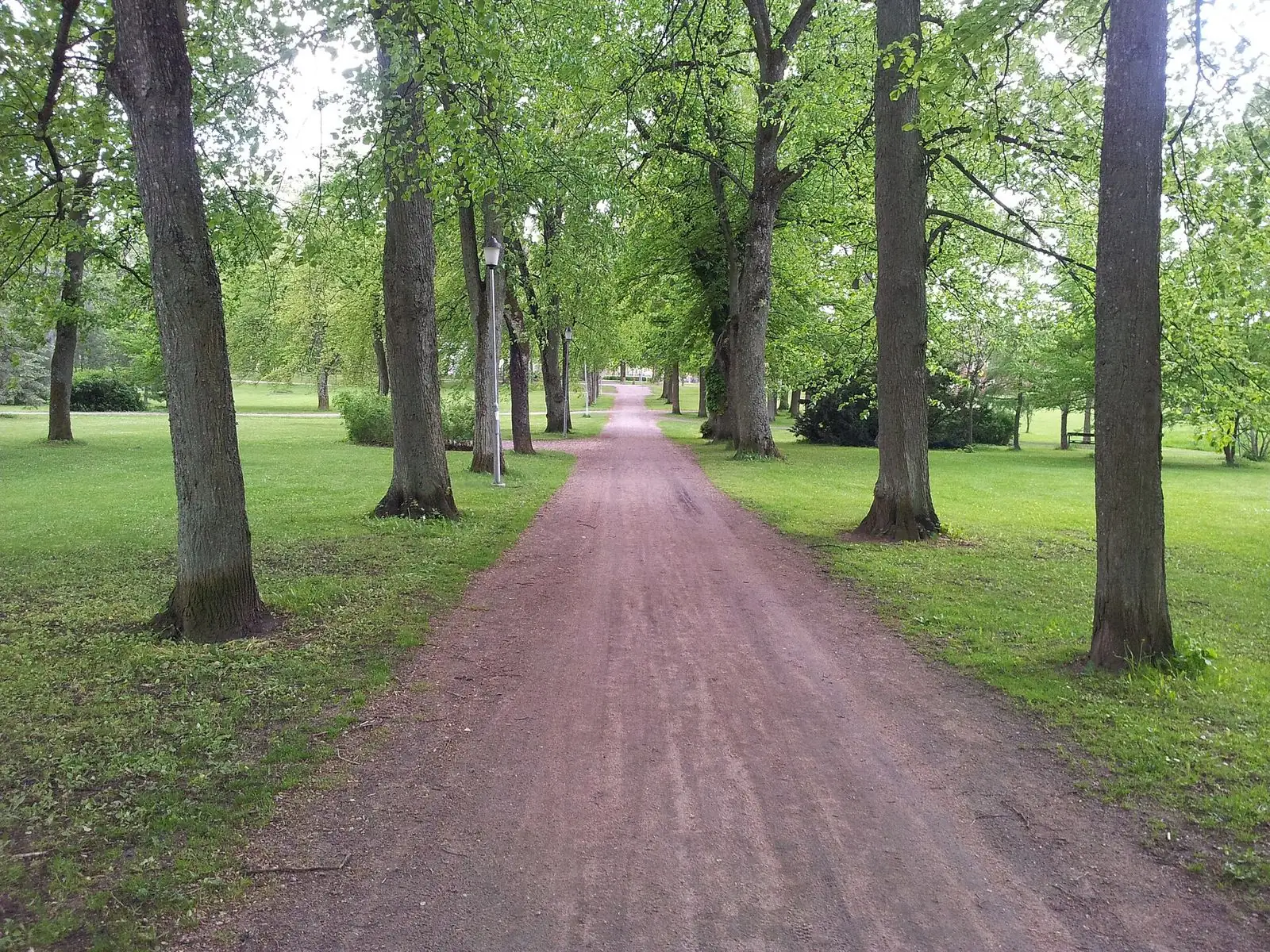 Botaniska trädgården i Skara