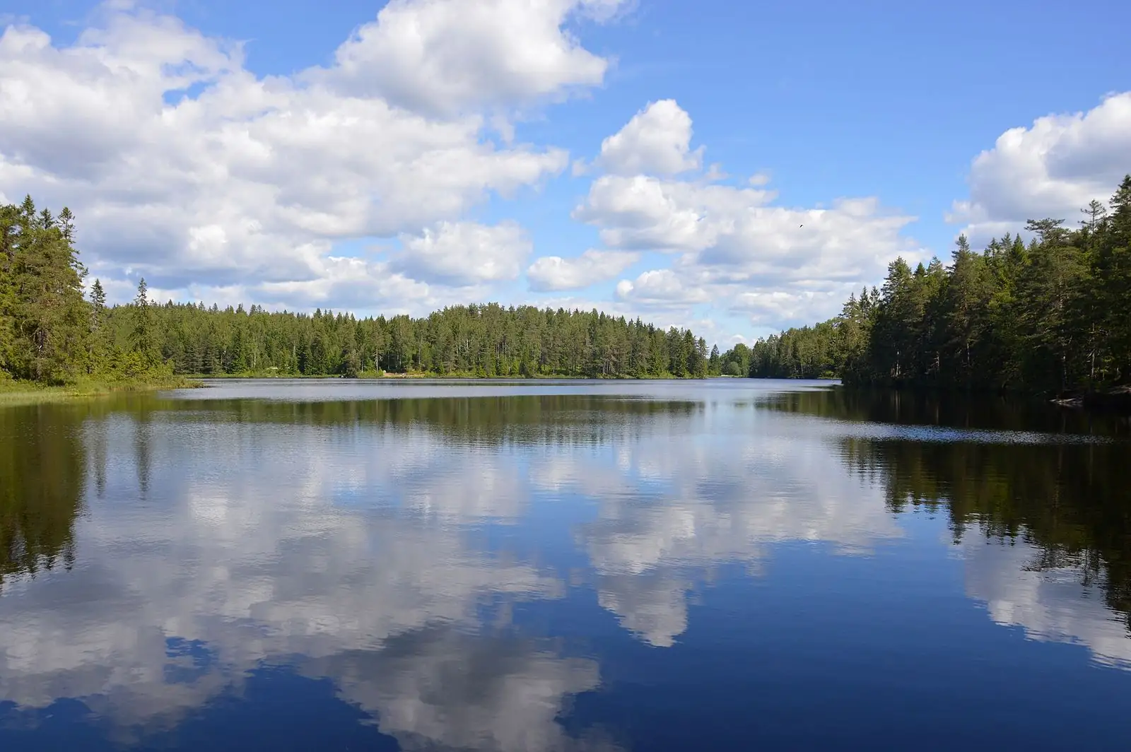 Björktjärnen i Kilsbergen
