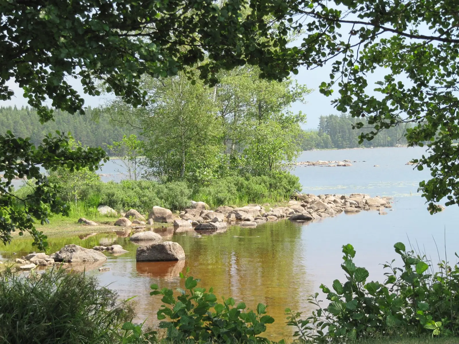 Utsikt över skog och sjö nära Laxå