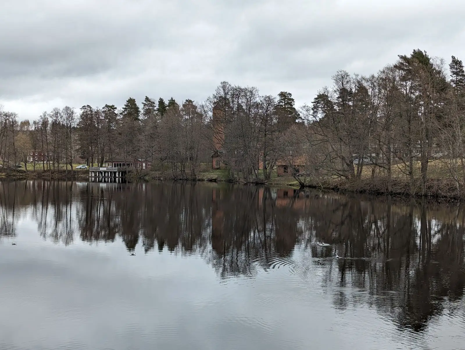 Letälven i Degerfors