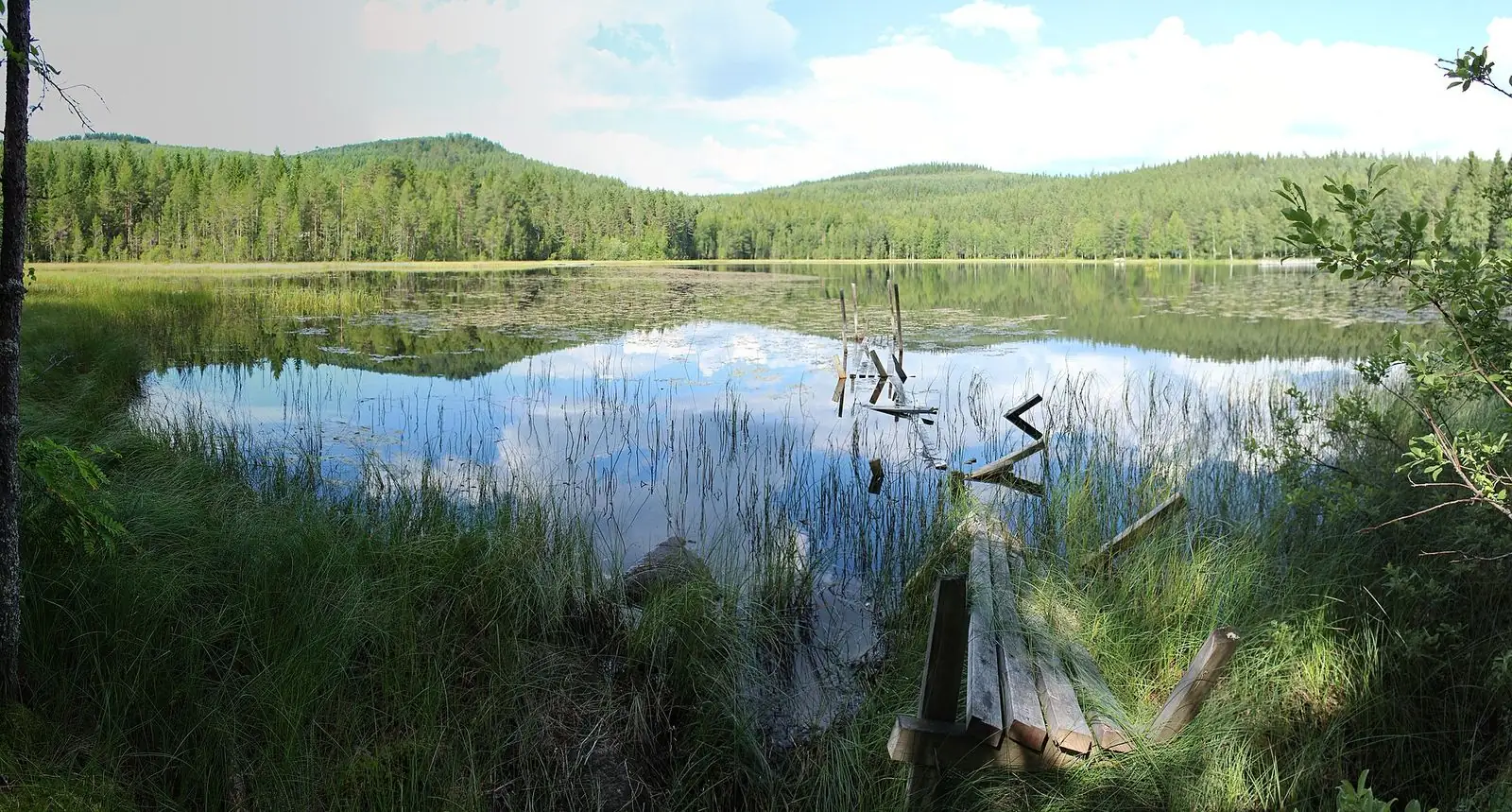 Sjö och berg vid Ljusdal