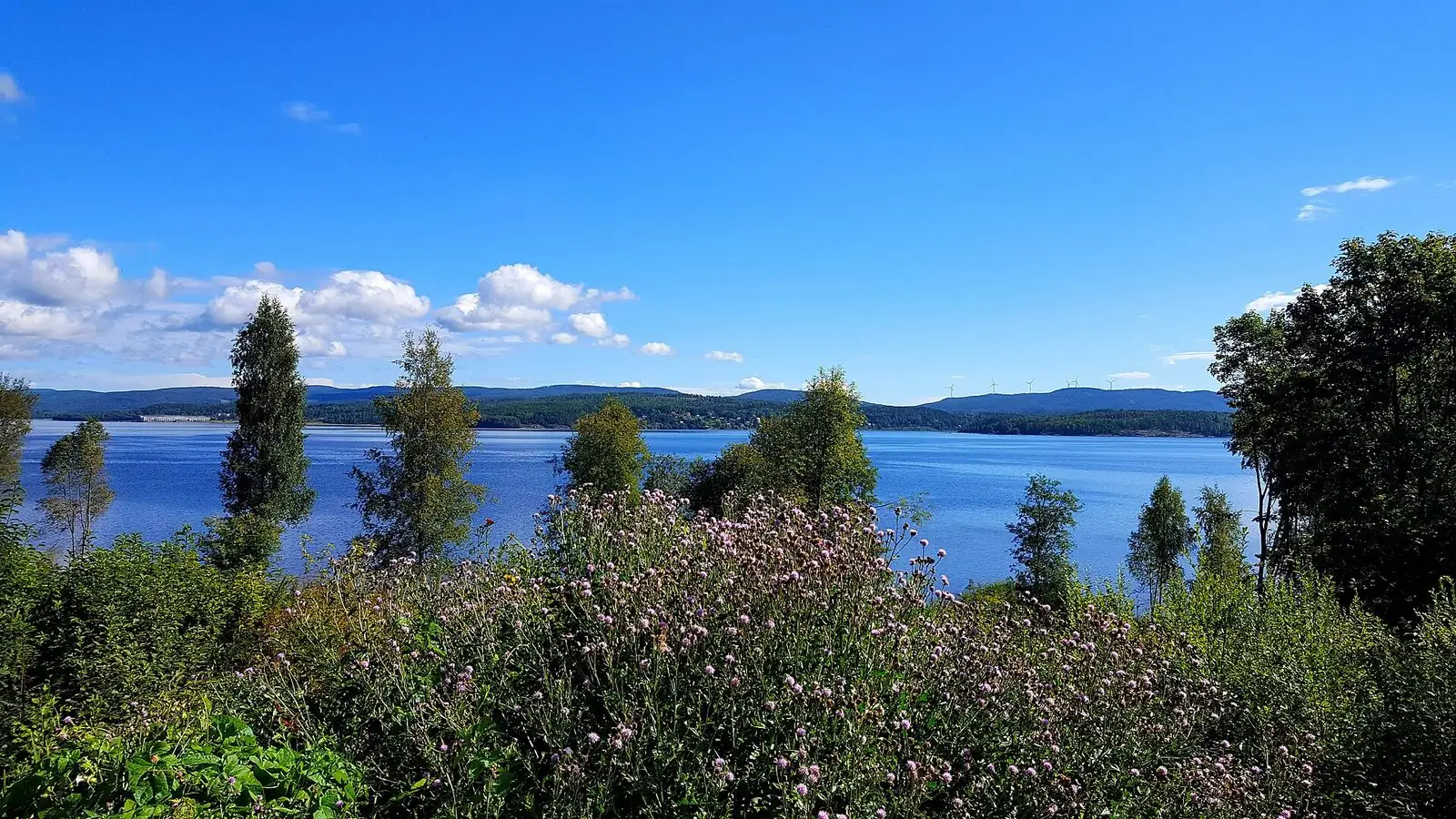 Ångermanälven vid Kramfors