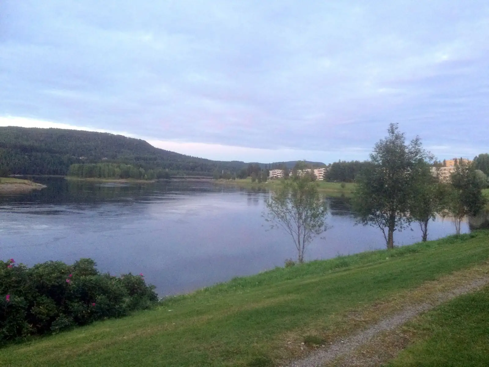 Ångermanälven vid stadsparken i Sollefteå