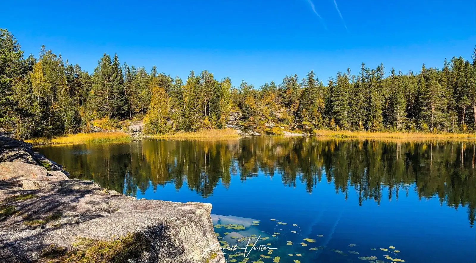 Skogssjö i Bräcke kommun