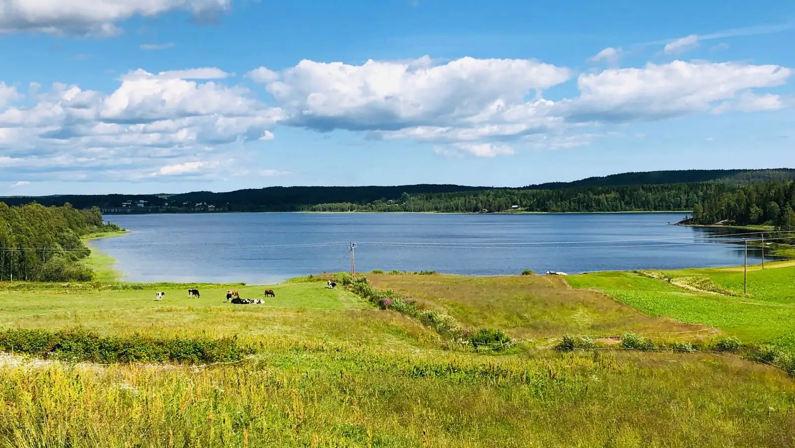 Sjö och ängar i Nordmaling