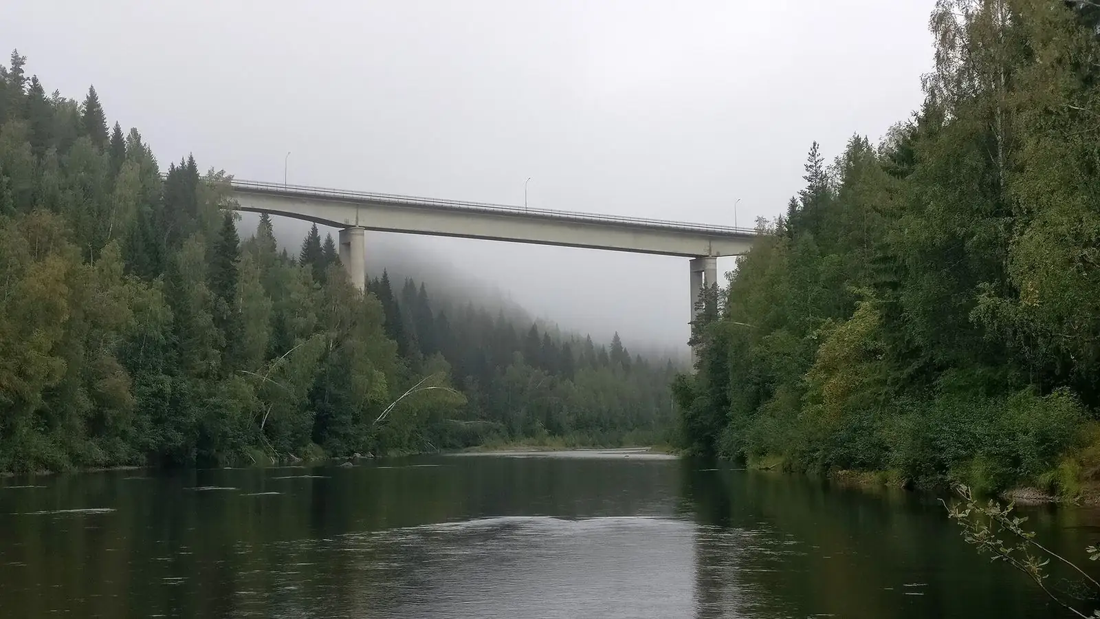 Bron över älven i morgondimma