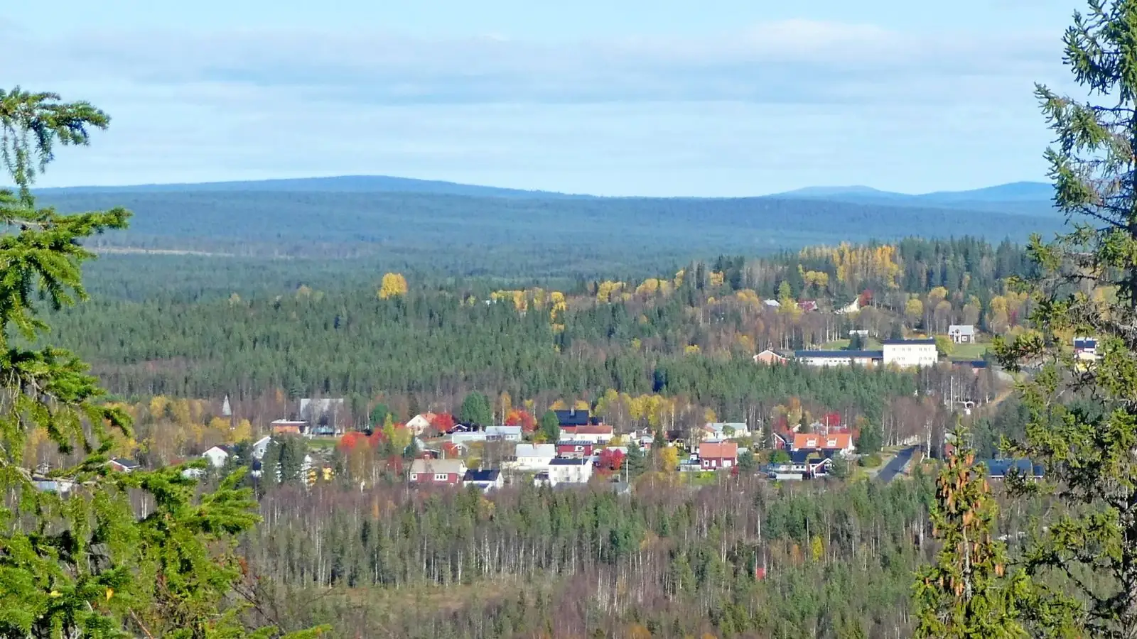 Utsikt över Adak och skogarna i Malå kommun