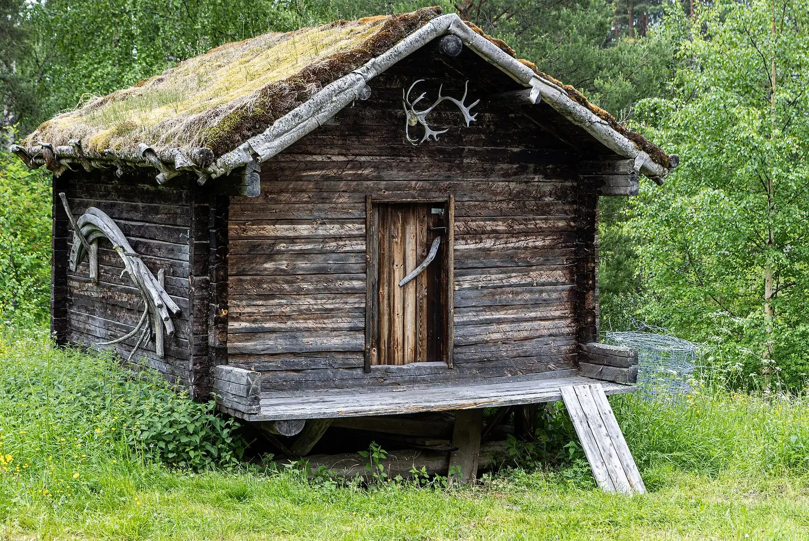 Timrad härbre