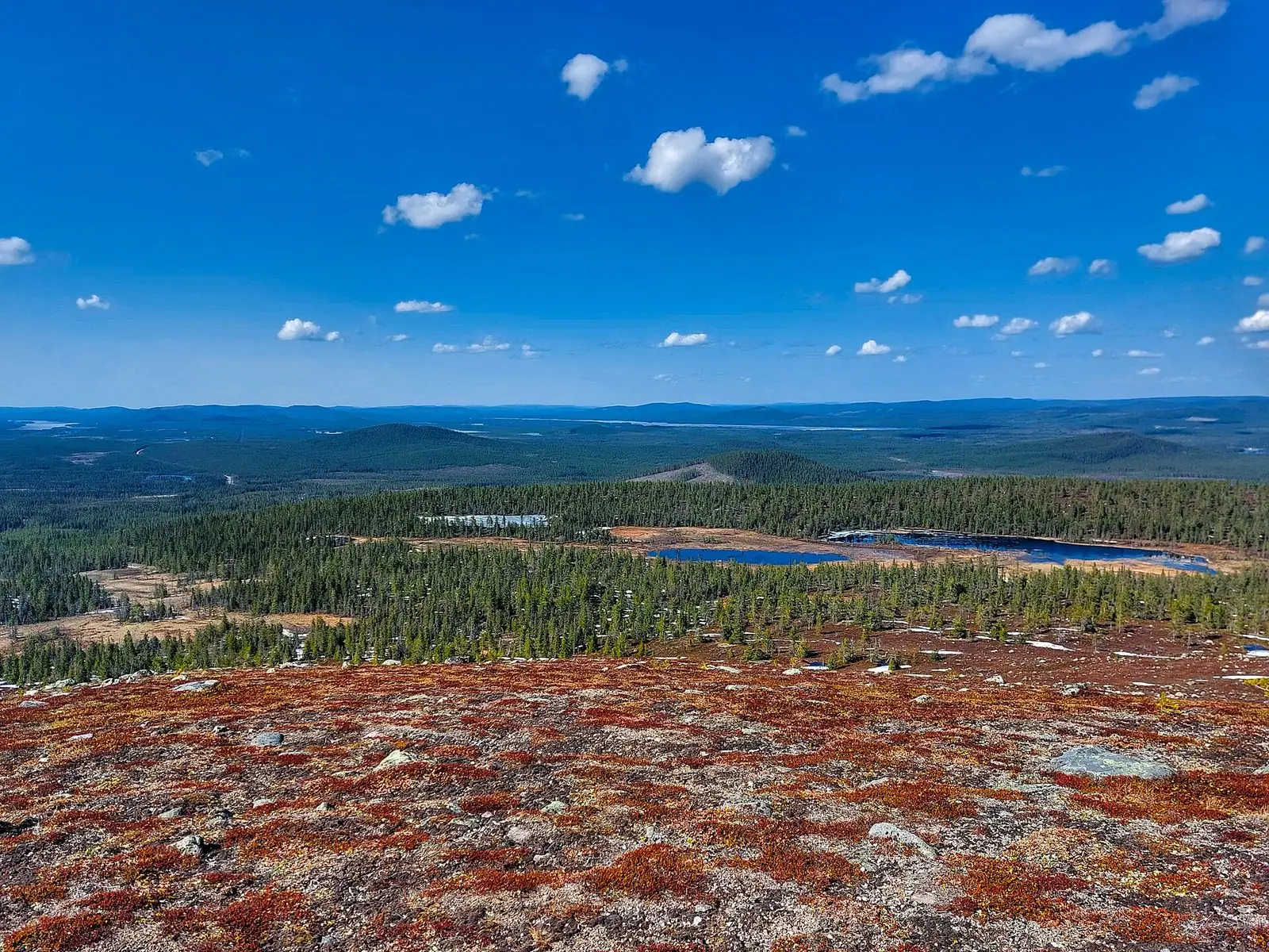 Utsikt över skog och sjöar