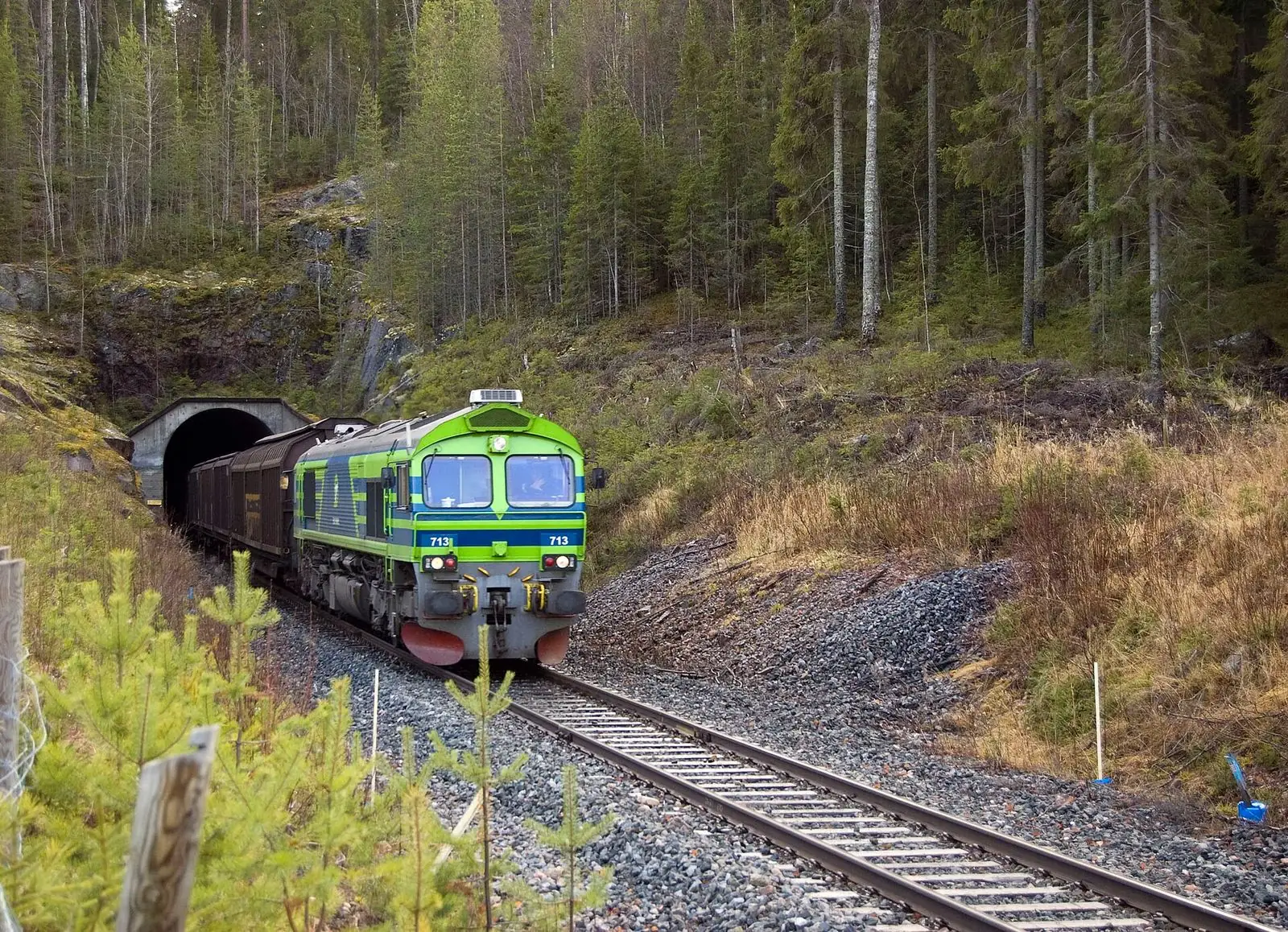Malmtåg på väg genom skogen