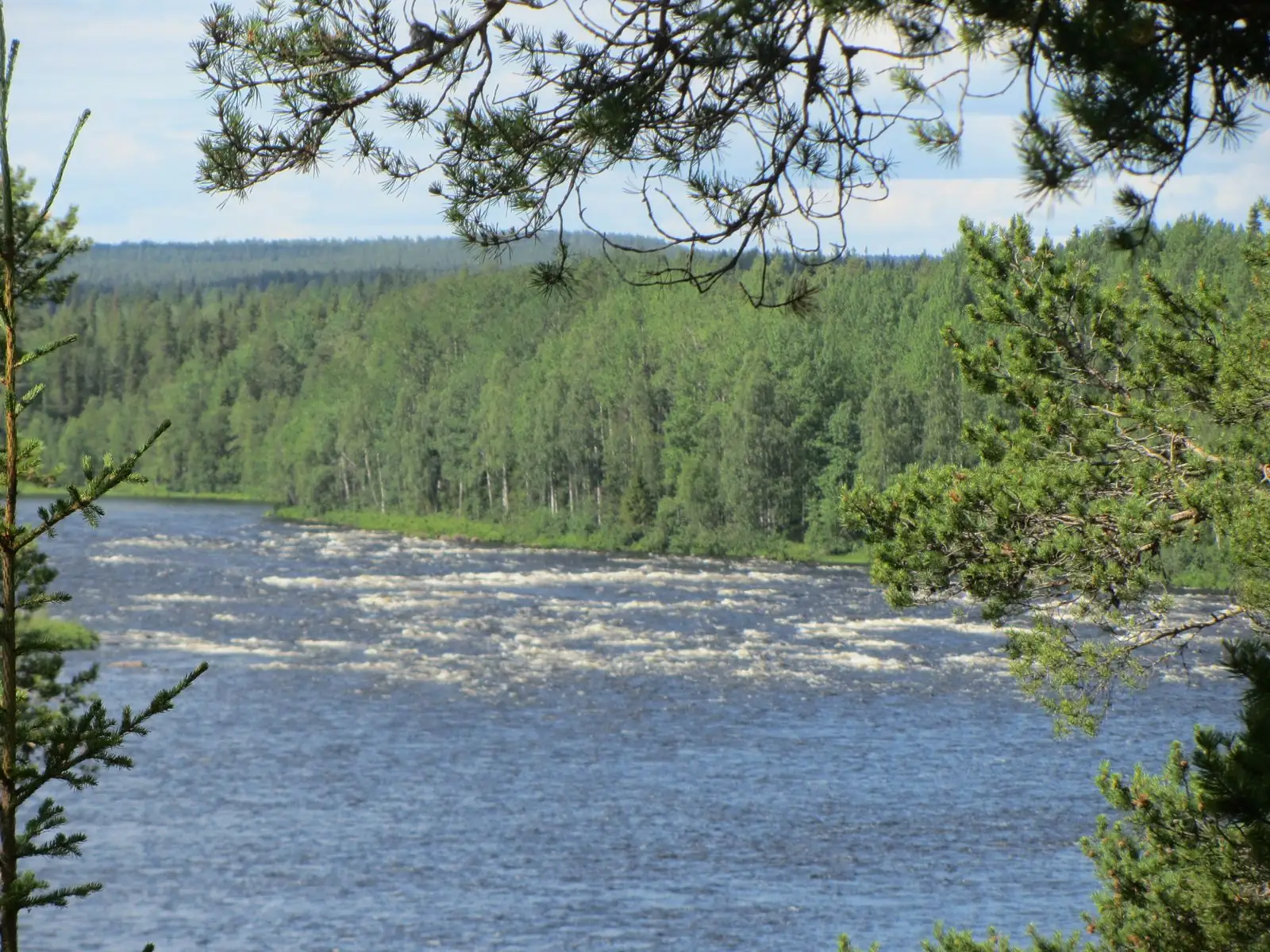 Forsen i Torneälven vid Pajala